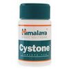 secure-tabs-Cystone